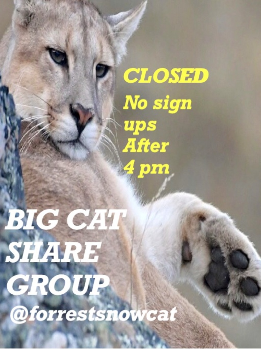 BIG CAT SHARE GROUP   SUNDAY 8/30 CLOSED